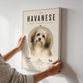 Havanese Poster or Canvas, Minimalist Dog Breed Wall Art, Neutral Havanese Decor, Modern Pet Portrait Print