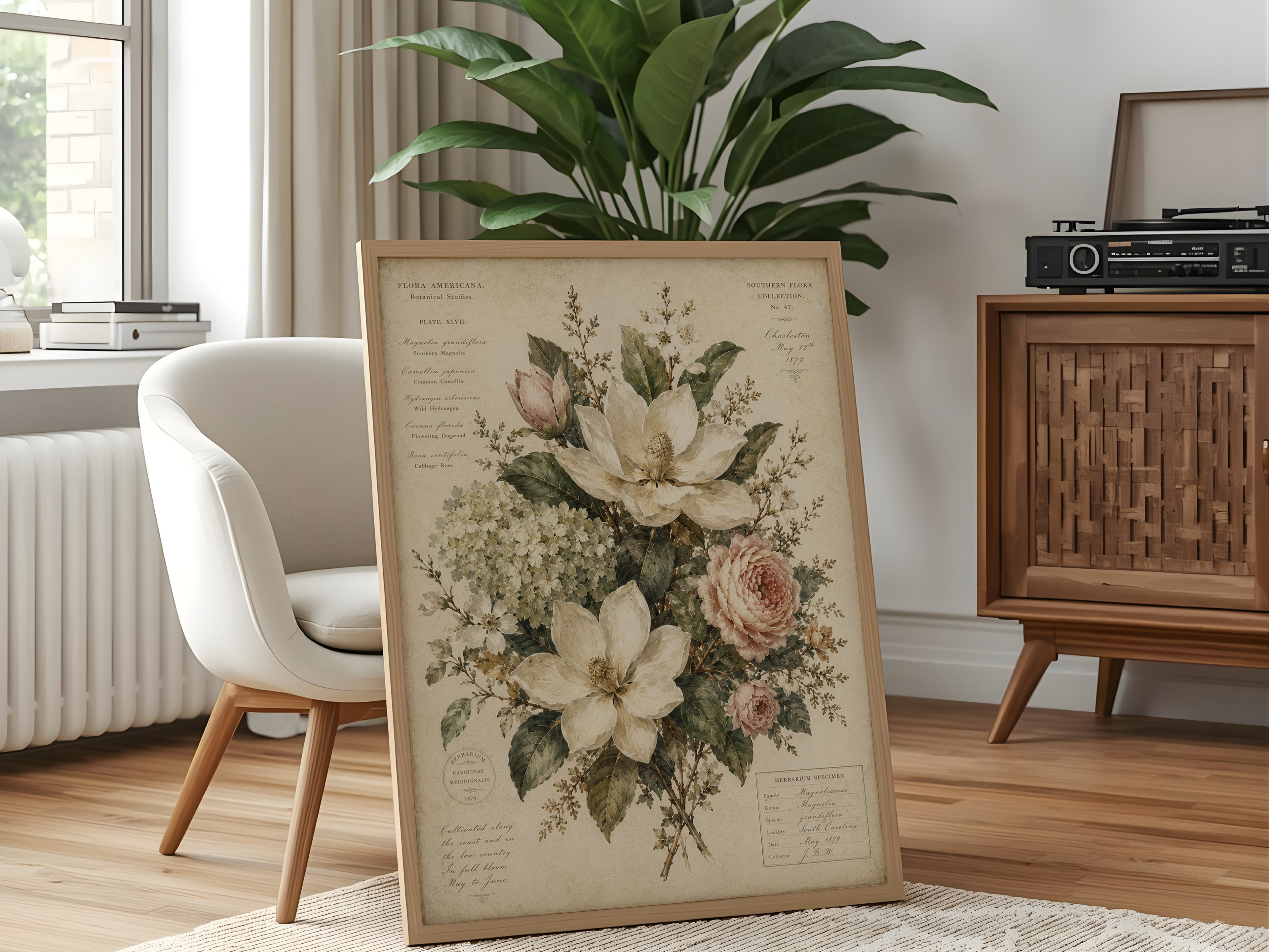 Vintage Botanical Wall Art Print | Southern Magnolia Floral Illustration